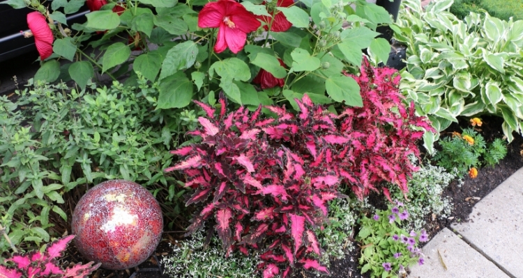 Rose Color Garden Theme with Gazing Ball